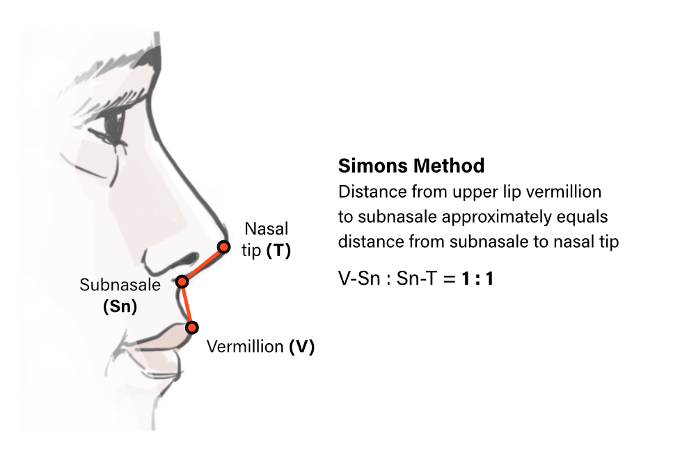 Simons method for evaluating nasal tip projection